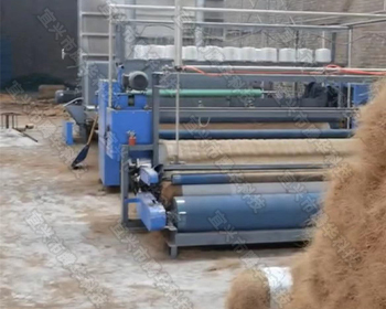 潍坊草籽椰丝毯生产线设备